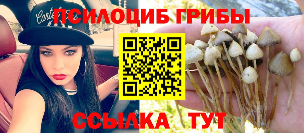 Галлюциногенные грибы Cubensis  Вход с VPN  Электросталь  Псилоцибиновые грибы мухоморы 