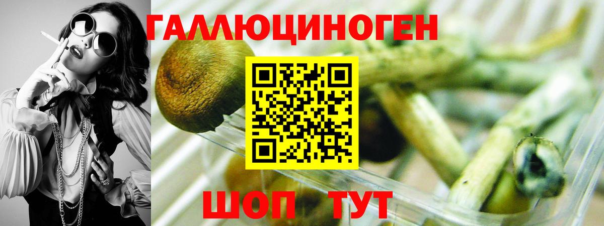 Псилоцибиновые грибы Magic Shrooms Электросталь